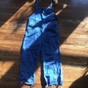 Denim Overalls
